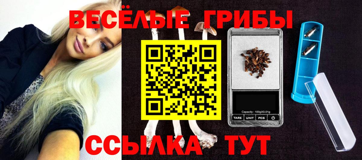 закладки  Вход с VPN  Железноводск  Галлюциногенные грибы Magic Shrooms 