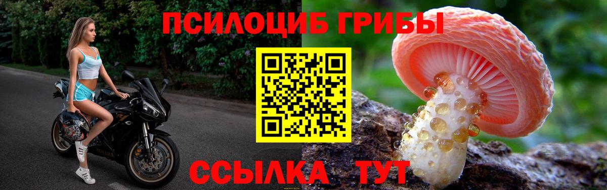 Галлюциногенные грибы Magic Shrooms Железноводск